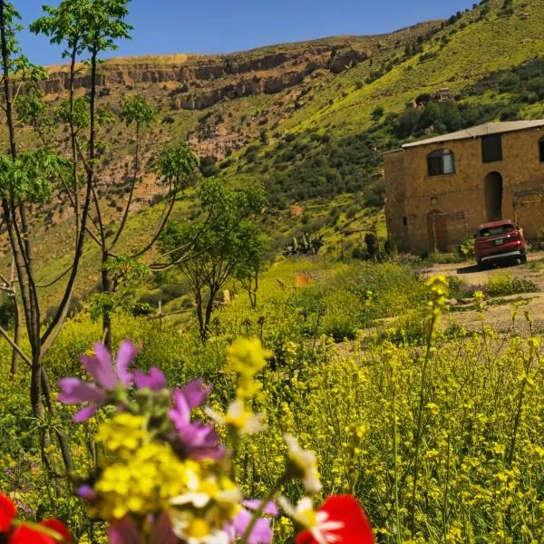 Dana horizon hotel, ξενοδοχείο σε Dana