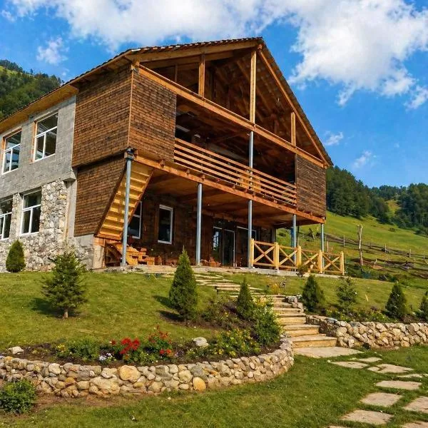Guest house River side, hotel u gradu Adishi
