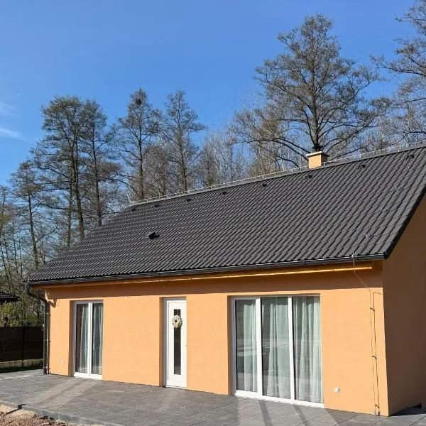 Dům s terasou a výhledem na hrad Potštejn, Hotel in Potštejn