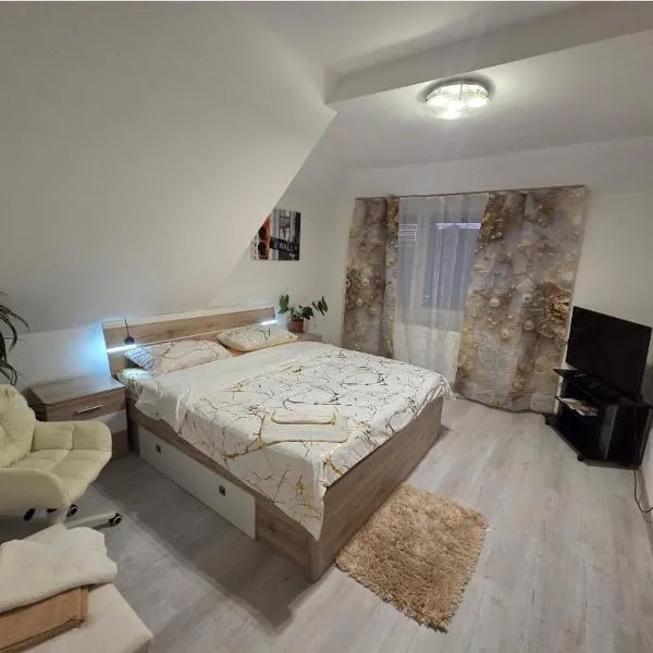 4 Apartments Angels o k b, hotel en Altemburgo