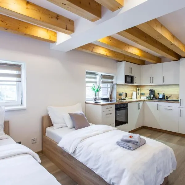 Apart Hotel Svitavy, hotel en Svitavy