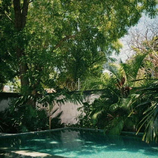 Artos Hostel, hotel v destinaci Mérida