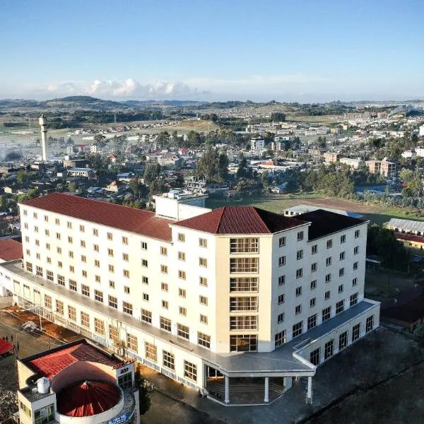 Haile Hotel Debre Birhan، فندق في Debre Birhan