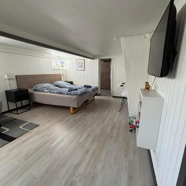 H. C. Lumbyes Vej - kælderlejlighed, hotel in Odense