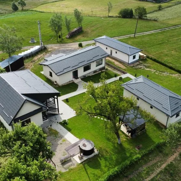 Complex Dealu'Frumos, hotell sihtkohas Întorsura Buzăului