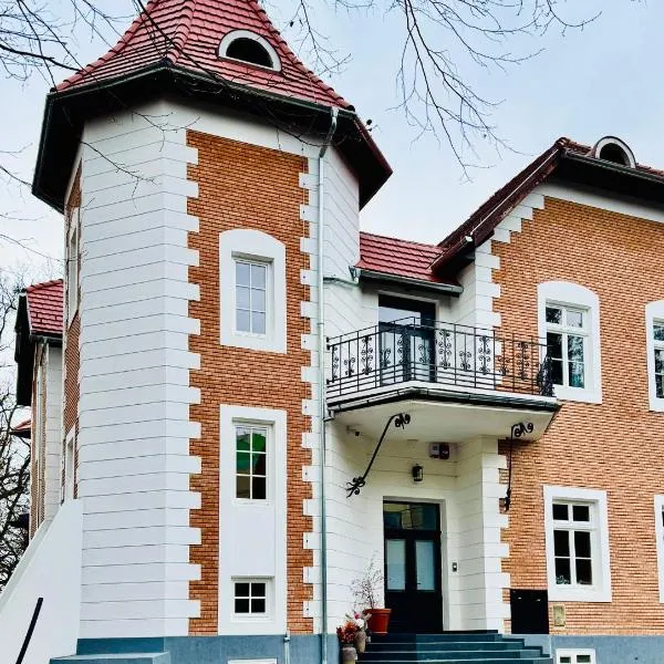 Sándor János Villa, hotel em Sovata