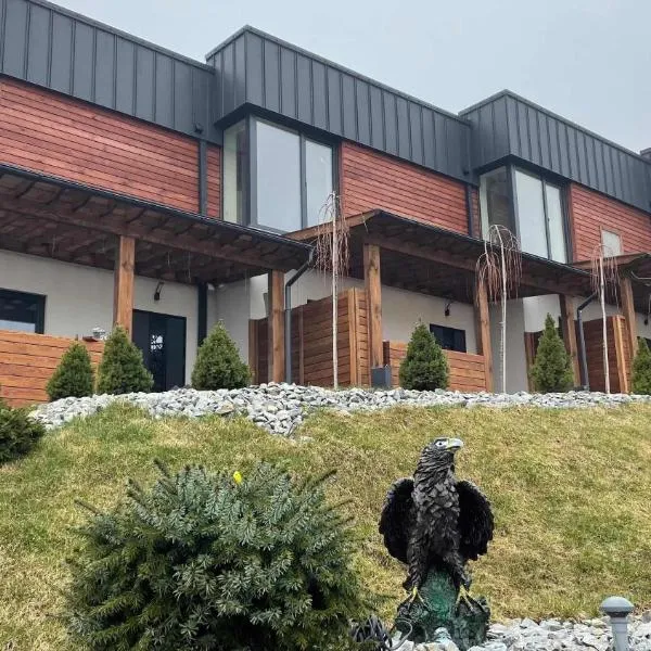Aerie Eco Villa, hotell sihtkohas Shidnitsa
