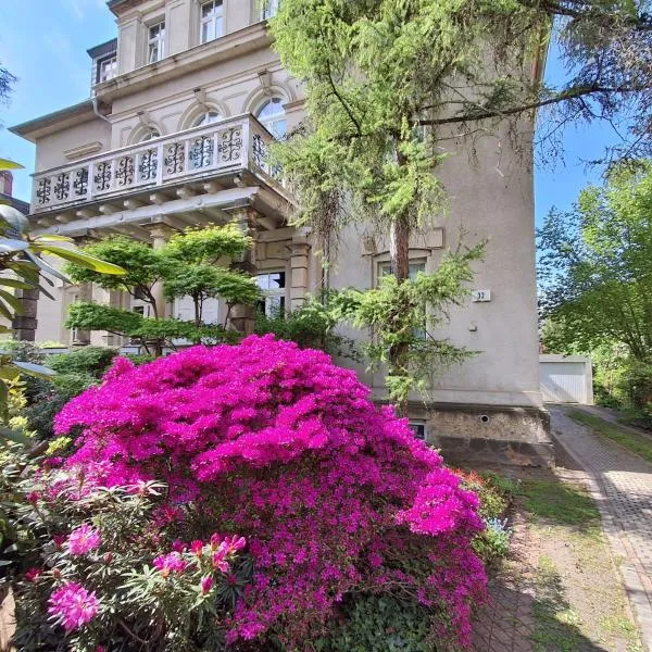 Villa Taxus-Smokers not welcome, Hotel in Dresden