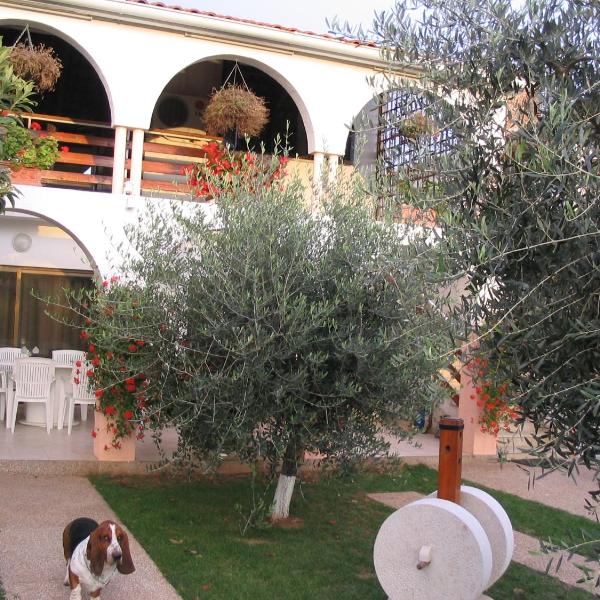 Apartment Dady with a large covered terrace