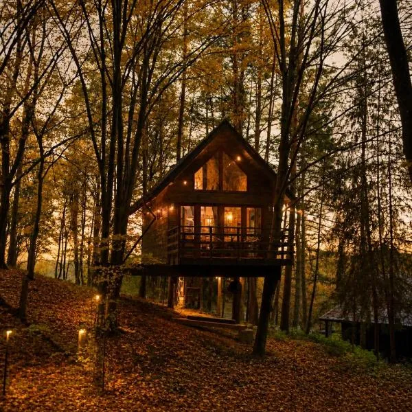 Na Skraju Lasu Domek na Drzewie & Glamping, viešbutis mieste Kazimierz Dolny