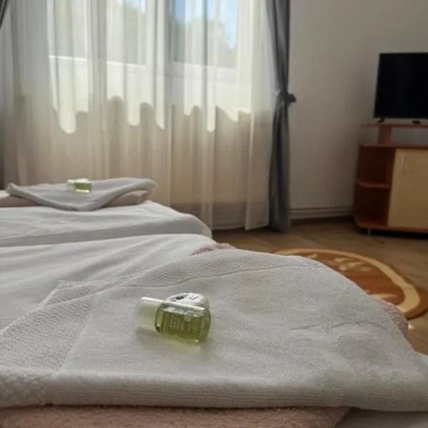 Motel Vatra Bunătăților, hotelli kohteessa Brezoi