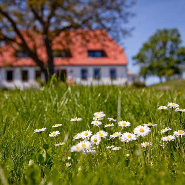 Gutshaus Ketelshagen