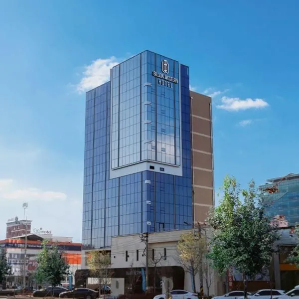 대구 빌리언웨스턴호텔，位于大邱的酒店