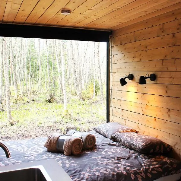 PRIVAATNE Metsamajake SAUNAGA "KOHIN", hotel in Sigula