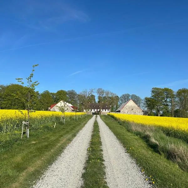 Roslövs gård B&B, hotel Flyingében