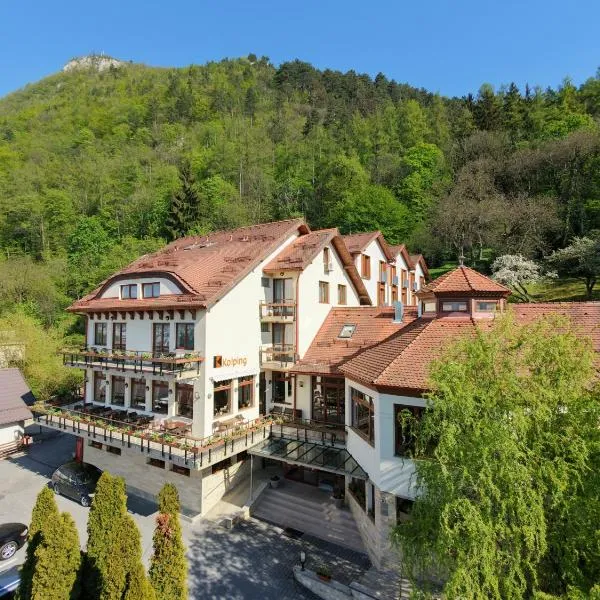 Hotel Kolping, Hotel in Braşov
