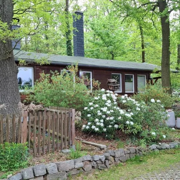 Coswig में, होटल Bungalow am Wald