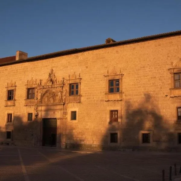 Castilla Termal Palacio de Avellaneda, hotel a Peñaranda de Duero
