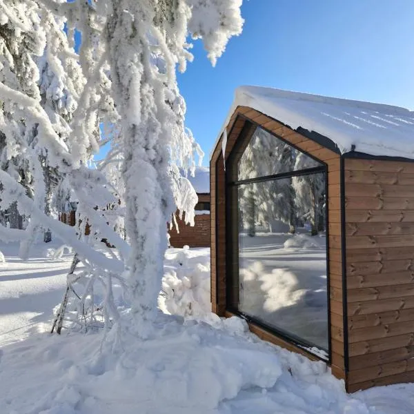 Arctic Nest, отель в городе Kotila