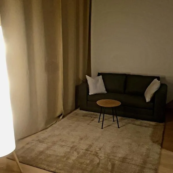 Downtown studio, near railwaystation, with exercise facilities, hotelli Seinäjoella