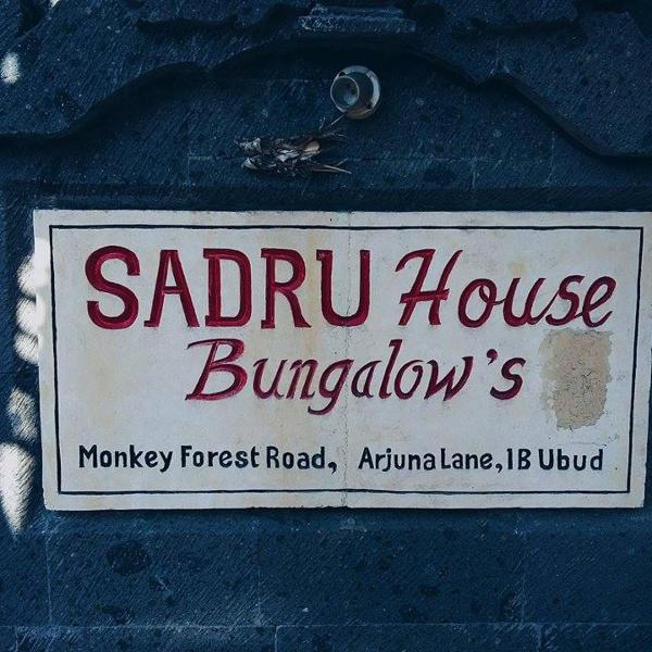 Sadru House