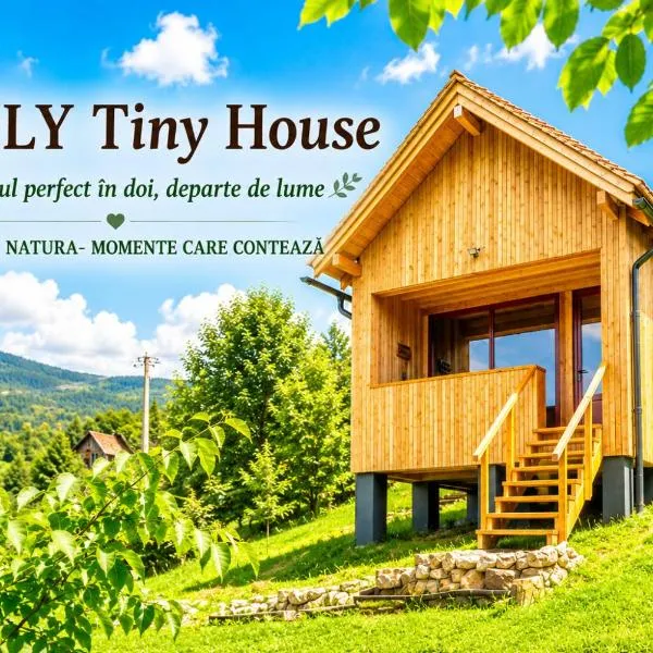 Wezly Tiny House, hótel í Măgura