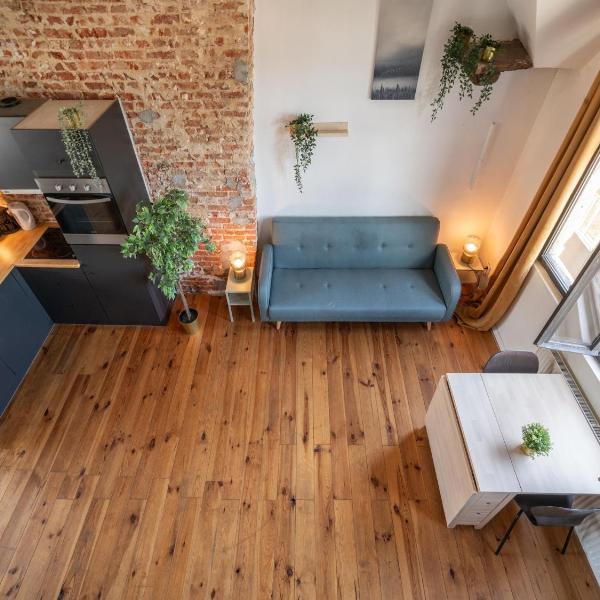 Two-bedroom apartment by the river, Antwerpia