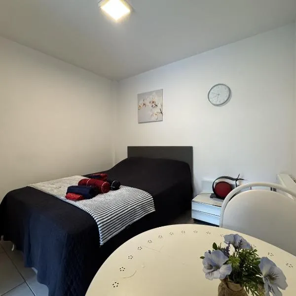 Luxueux studio calme avec jardin & terrasse Métro direct centre de Bruxelles, hotel in Brussels