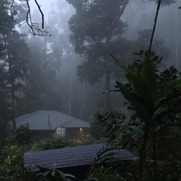 HostelExp, Munnar - A Bungalow Farm Experience – hotel w mieście Munnar