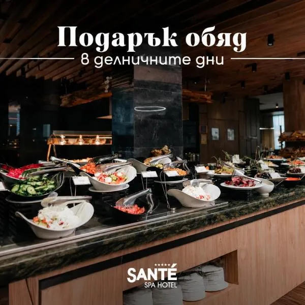 Santé SPA Hotel, hotel en Velingrad