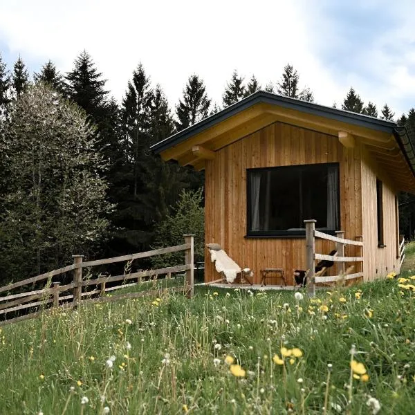 Ferienhaus "Moosgrün" - Tiny House Urlaub，位于Ybbsitz的酒店
