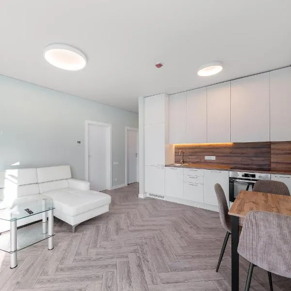 Stay at Ramu Du in Vilnius near VNO Self check-in, hotel a Vílnius