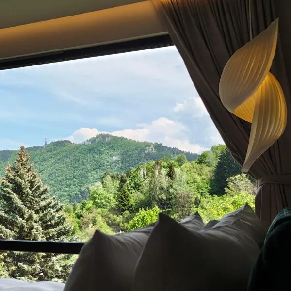 Celest Boutique Urban Hideaway: Braşov şehrinde bir otel