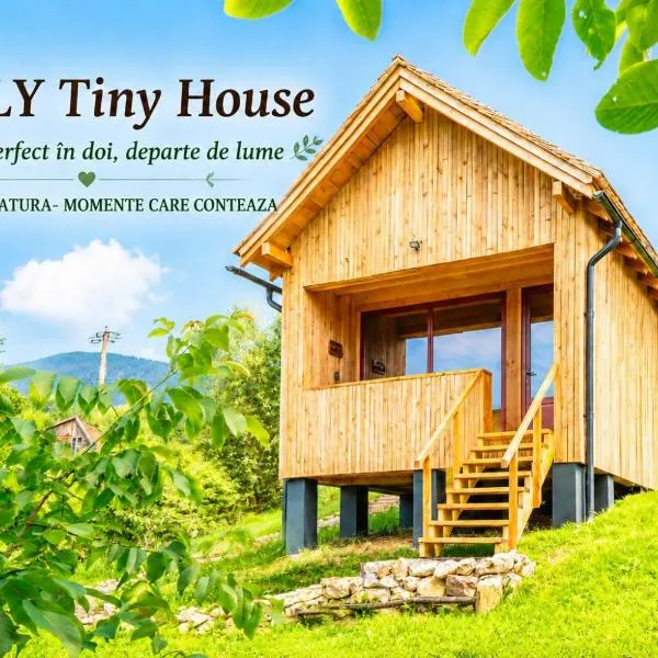 Wezly Tiny House, ξενοδοχείο σε Magura
