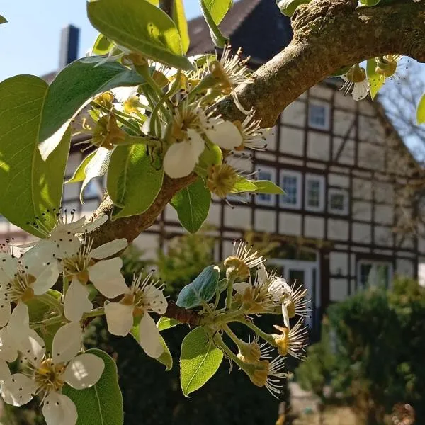Zwischen Acker und Herz Hartmannshof, hotel in Algermissen