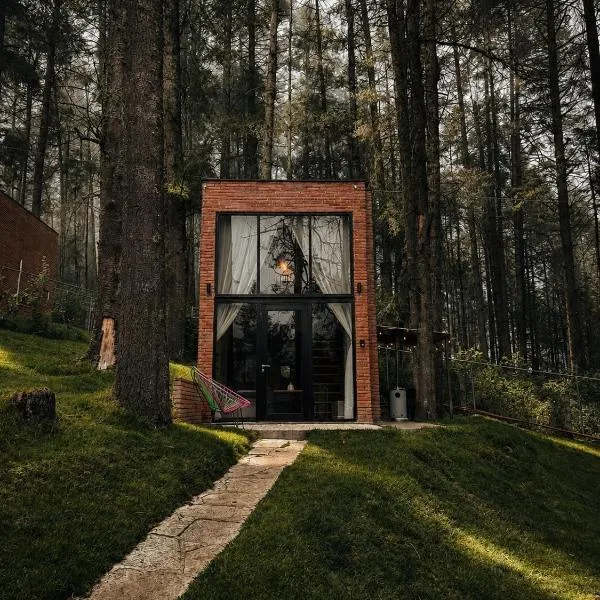 Cabañas Boutiques TinyChillHouse, hôtel à Mineral del Chico