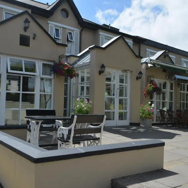 Woodfield House Hotel, hotel in Limerick