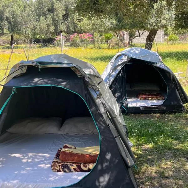 Waveside Camping, hotel a Borsh