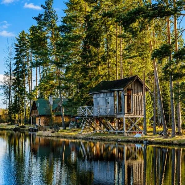 Dragon Treehouse with Hot Tub, Sauna, Private Lake & Deer Park, hotel em Līči
