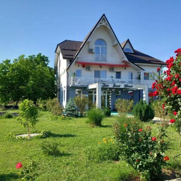 Tina Guest House, hotel in Basarabi