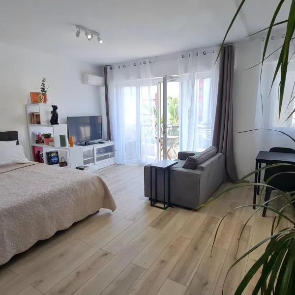Spacious Studio, hotel en Niza