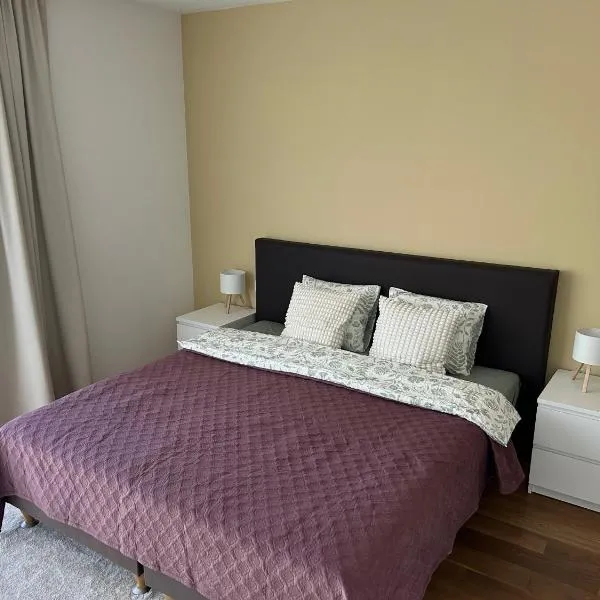 Spacious 56 m2 Apartment in the Quiet Center, Free Private Underground Parking & Self Check-In, hotel u Rigi