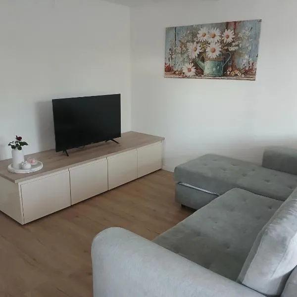 Apartmaji pri Pinku, hotel en Breginj