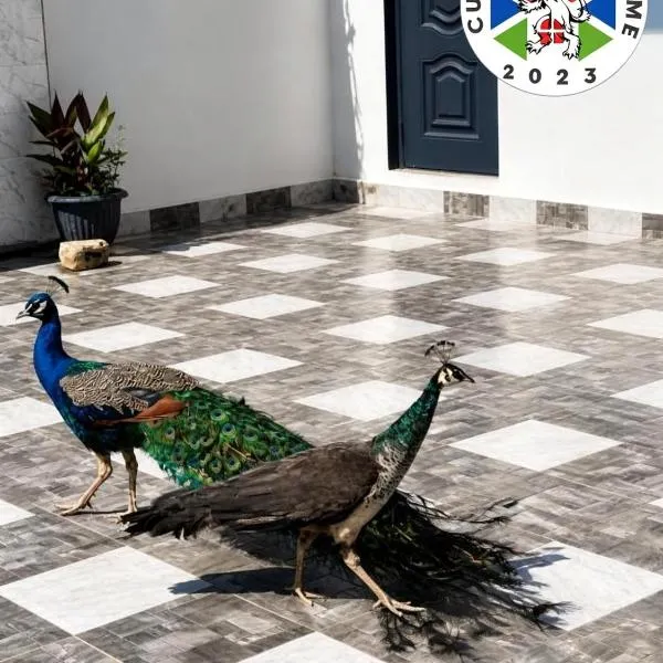 Cutting Edge Guest House, hotel v destinaci Daranka