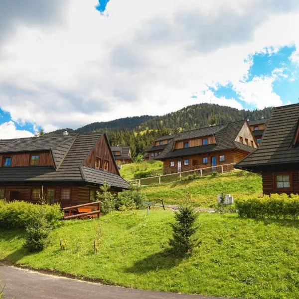 Drevenica Desina, hotel in Terchová