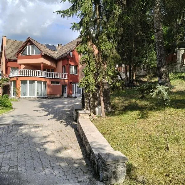 Baroc Boutique Hotel, hotel em Topliţa