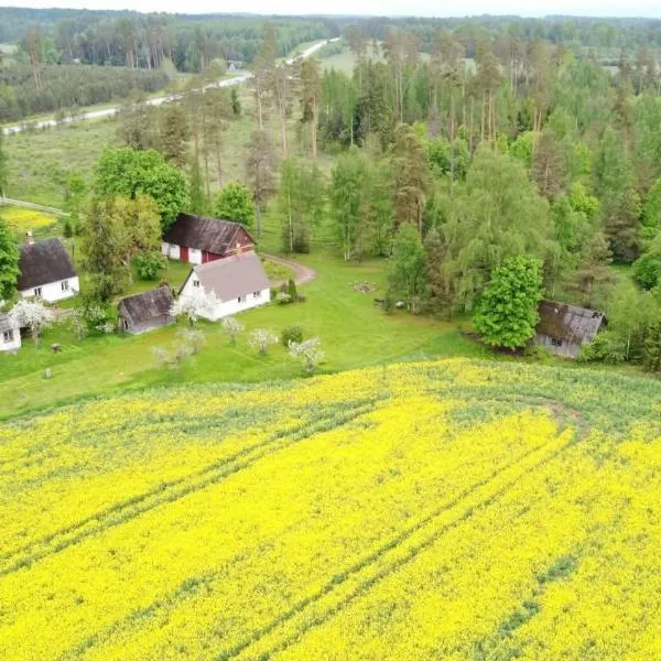 Sepa Talu, viešbutis mieste Aakre