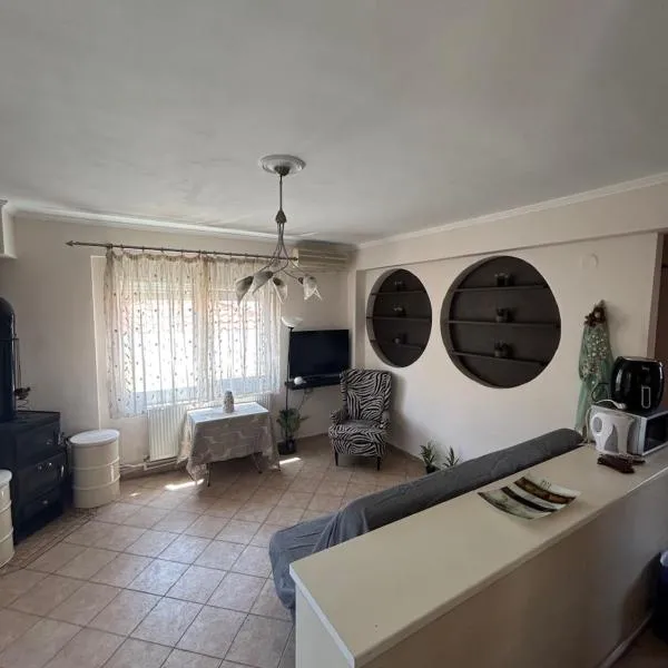 Danai Nefeli Apartment, מלון בסיווירי