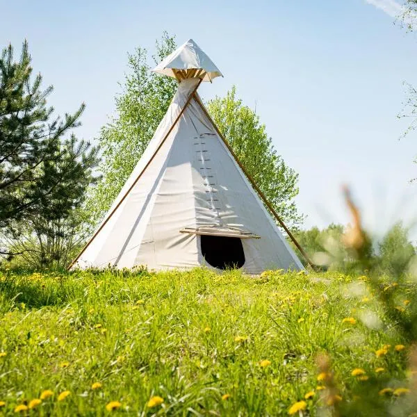 Briedžio sapnas - tipis saulė, hotel en Sudervė