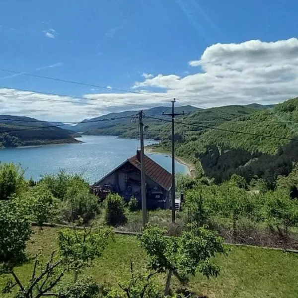 Apartmani Vlatkovic 1 Zavojsko jezero, отель в городе Пирот